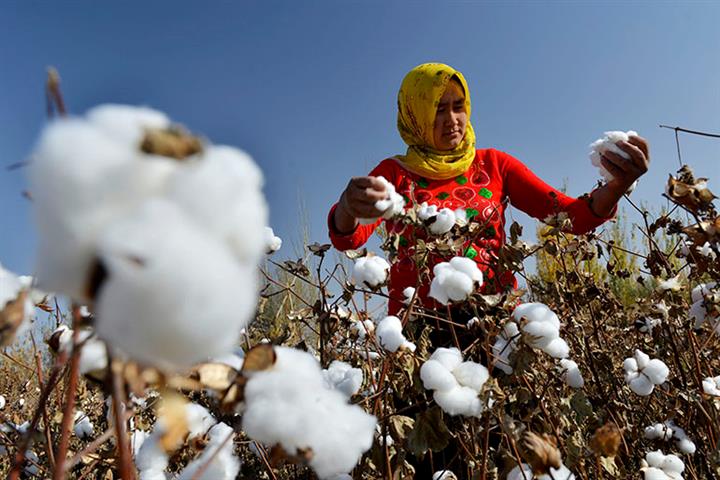 Muji Marks Products With Xinjiang Cotton Tags in China, Denies Boycott