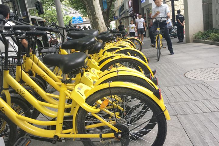 ofo news