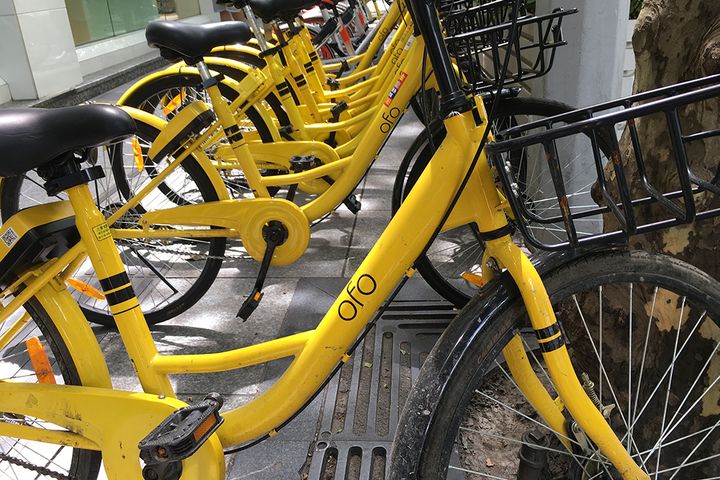 ofo ban