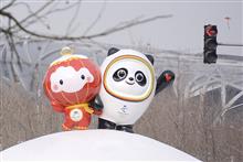 China Hands Olympic Mascot Toys Faker a Year in Jail