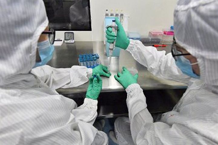 China Makes Over 1.7 Million Covid-19 Testing Kits per Day, Official Says