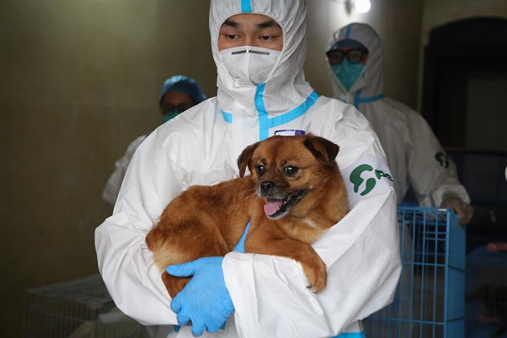 [In Photos] Shanghai's Makeshift Pet Hospital Shuts as Lockdown Eases