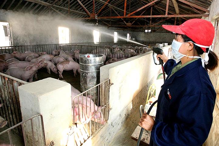 New Swine Flu Is No Cause for Panic, Chinese Scientist Says