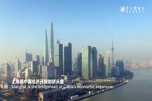 Shanghai in the Eyes of Executives at Big Asset Managers