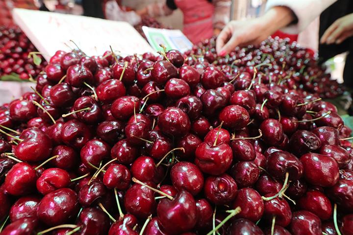 Cherries, Seafood Are Top Buys for Young Chinese Consumers as Holiday Nears, Tmall Says
