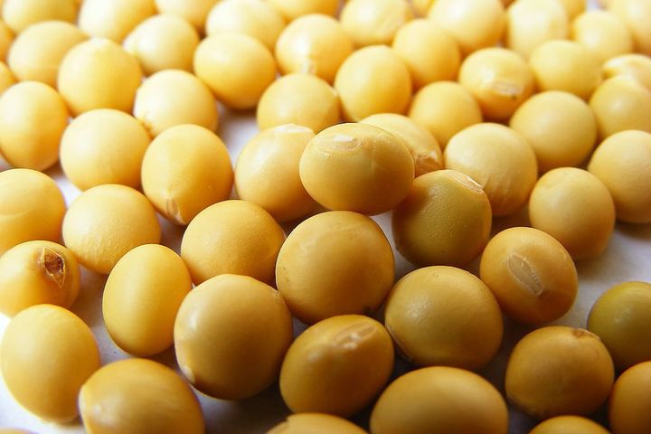 China Opens Its Doors to Over USD5 Billion in US Soybeans, Pork and Beef