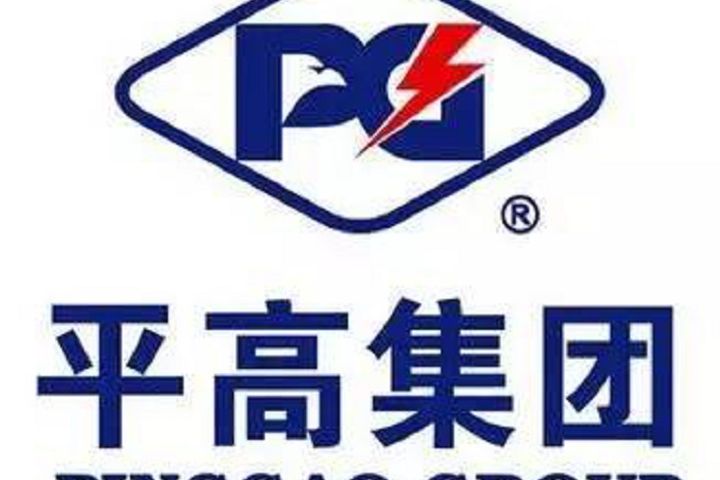 Pinggao Electric, Its Subsidiary Bag Three National Grid Equipment Projects Worth USD175 Billion