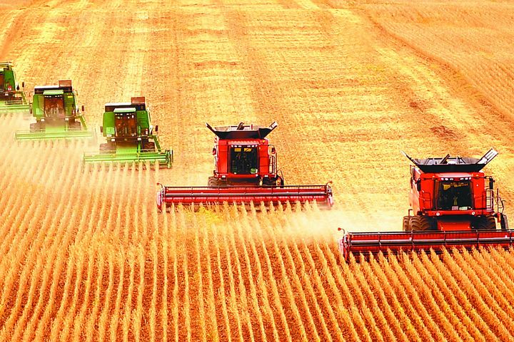 China Designates Extensive 'Permanent Basic Farmland' to Ensure Food Security