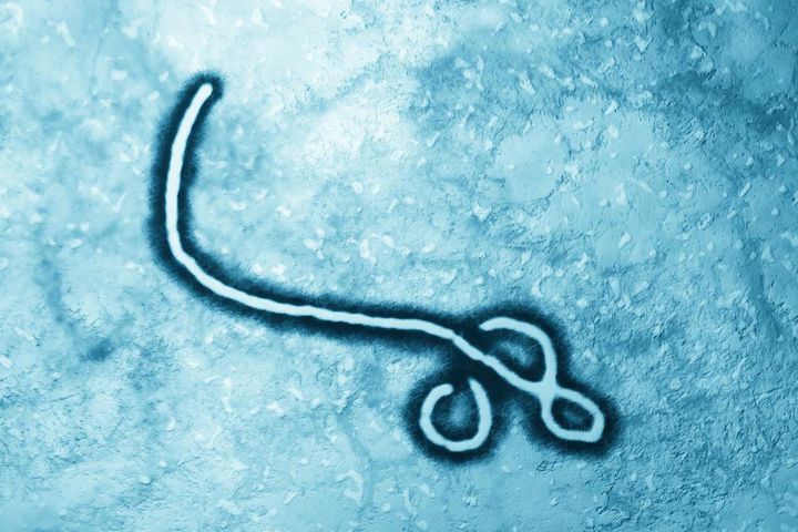 China's FDA Approves Application for Registering Recombinant Ebola Virus Vaccine