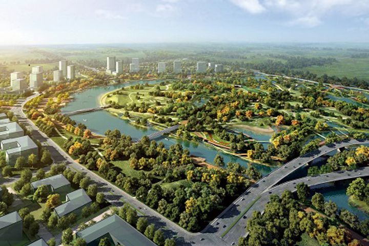 Shanghai's 'Beauty Valley' Is Set to Go Global, Show Competition Need Not Be a Zero-Sum Game