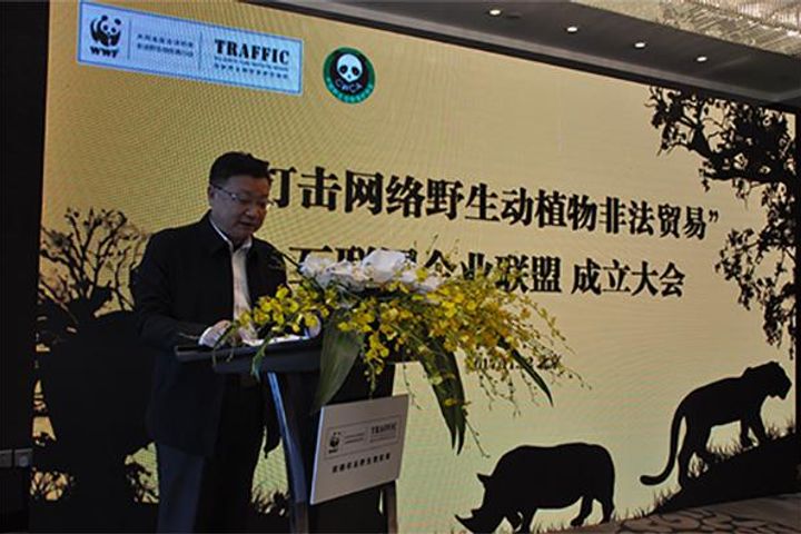 China's BAT Companies Form Alliance to Combat Illegal Wildlife Trade Online
