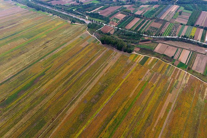 中国は、農村土地契約を30年延長するための法律の改正を検討している