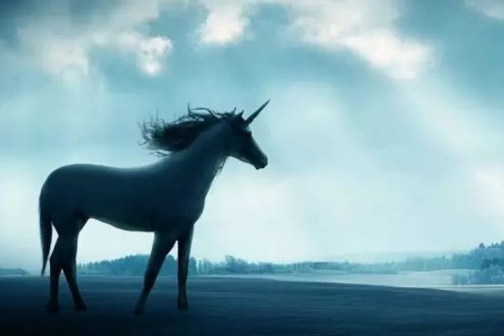 15 Chinese Startups Joined Blessing of China's Unicorns This Year