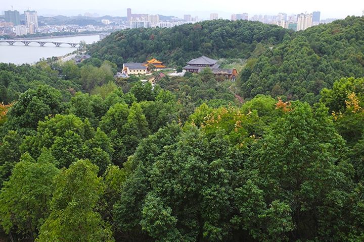 China to Set Up Six Forest City Clusters by 2020, State Forestry Administration Says
