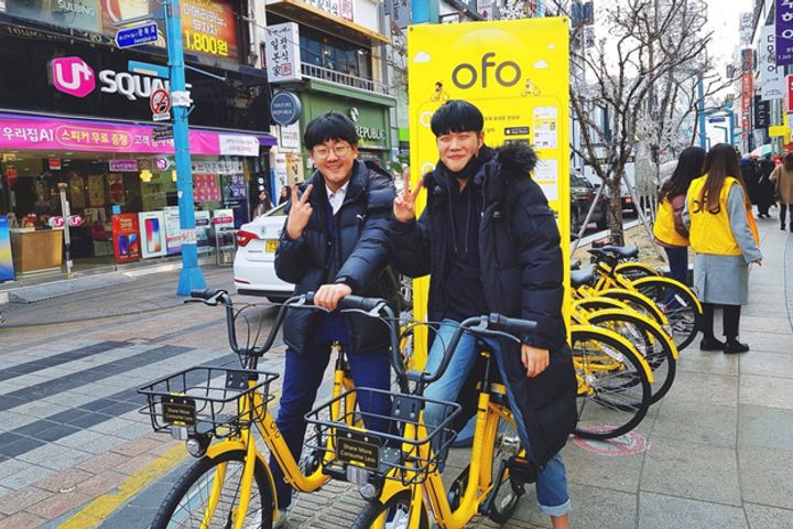 Ofo Rides Into Its 250th City: South Korea's Busan