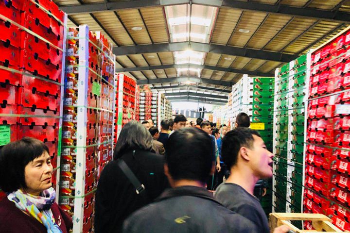 Chinese E-Commerce Platforms Promote Chilean Fruit Imports