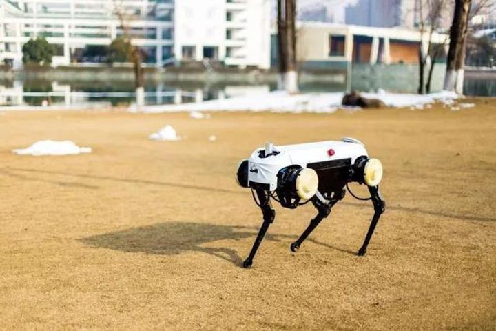 Leading Chinese University Aims to Rival Boston Dynamics With Robot Dog