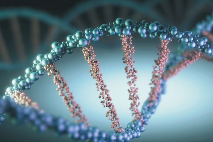 China's Chongqing University Teams Up With ETH Zurich to Build DNA-Encoded Molecule Library