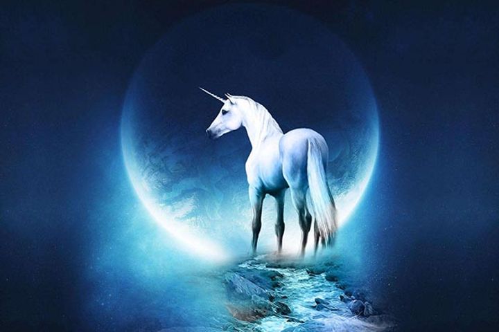 Tech Unicorns Lack Faith in A-Share Market's Relaxed Easing Policies