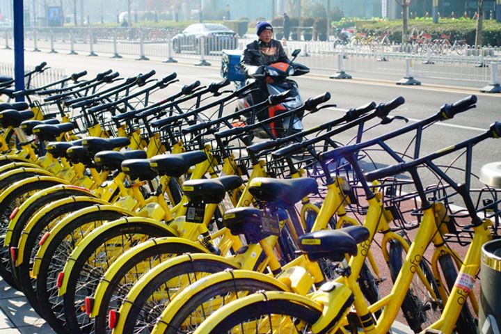 Ofo Denies Reported Pay Cuts, Layoffs, May Move Forward With Bike Body Adverts
