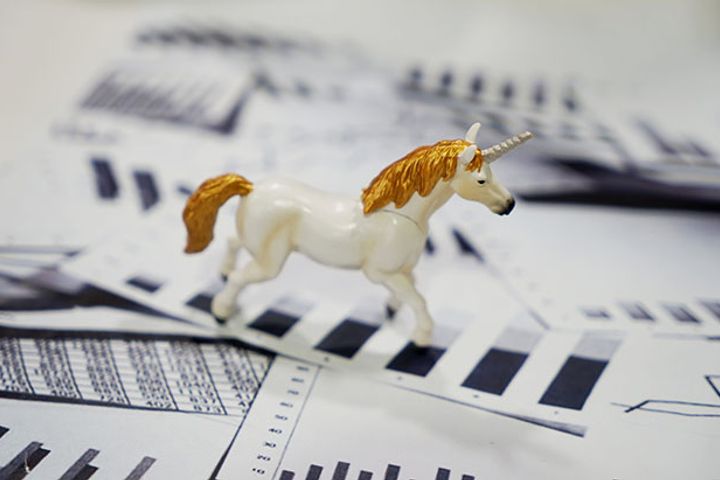 Overvaluation, Secrecy Causes Bloated IPOs; Unicorns, Investors Suffer