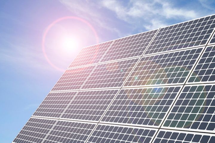 Jinko Power Bid Reigns in Spain's Main Solar Plant on the Plain