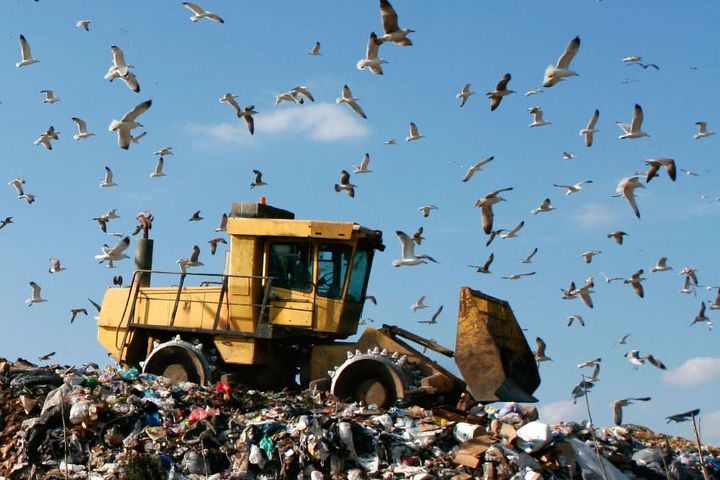 China Halved Solid Waste Imports in First Quarter Following Ban