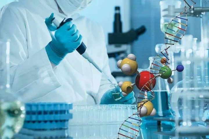 China to Overtake US in R&D Spending by Year-End, Top American Science Body Says