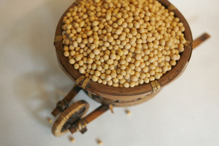 Former Soybean Import Giant Chenxi Declares Bankruptcy