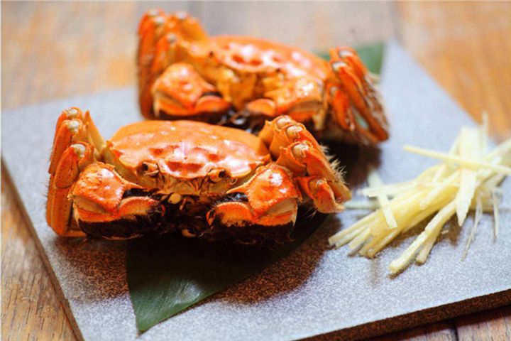 Spanish Police Seize 500 Chinese Hairy Crabs in Madrid