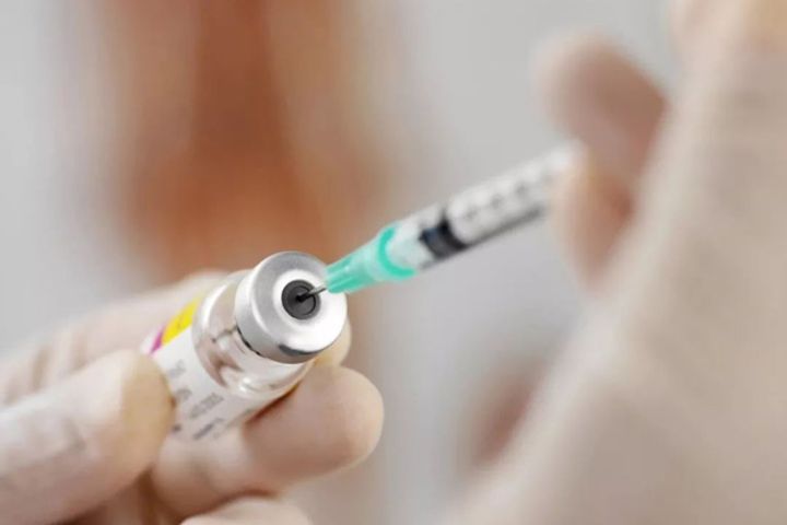 Rabies Vaccine Faker Expects Revenue to Halve This Year