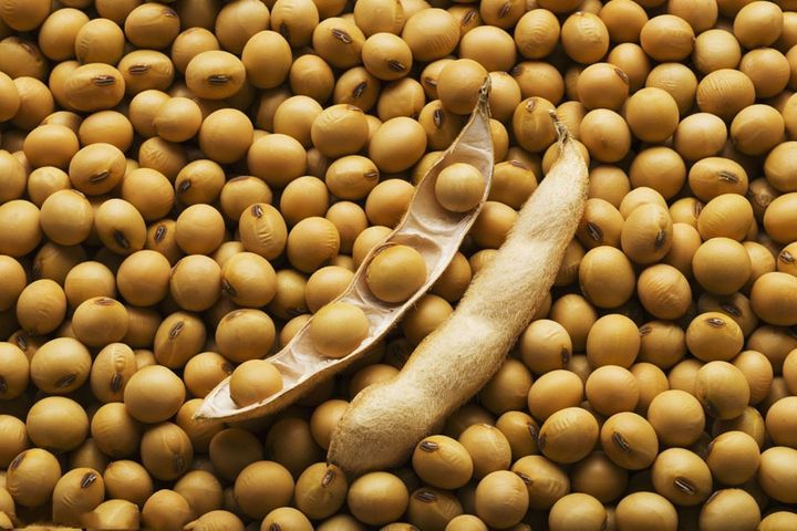 China Can Cope With Cut US Soy Supply, State Grain Center Says