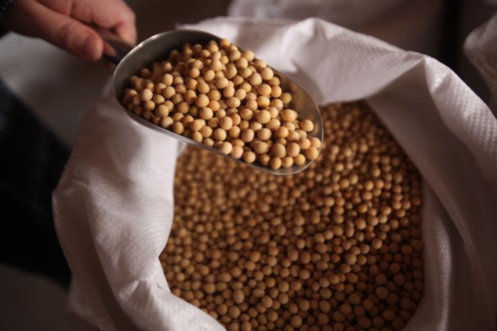 China Expects to Pare Soybean Imports 10%, Add Other Pig Feed Options