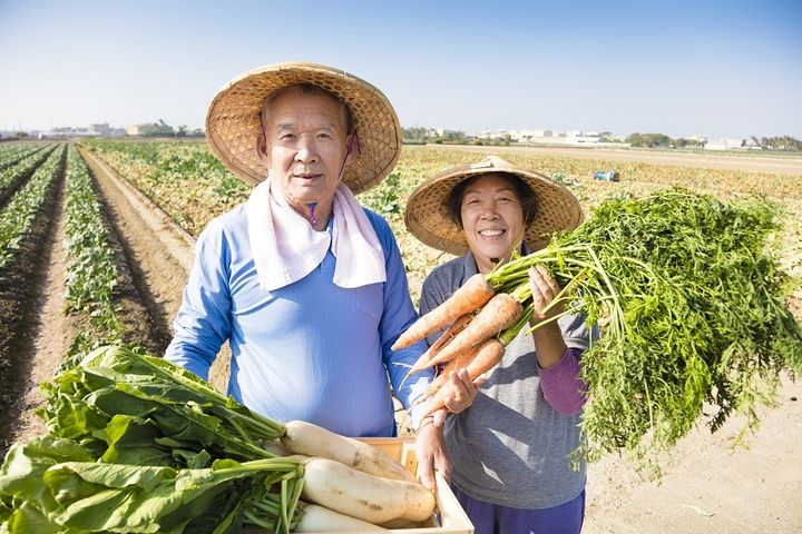 Chinese Agricultural Broker Bags Tens of Millions of Yuan in Pre-A Round