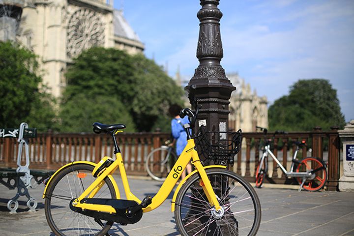 Ofo Denies Reports It Can't Keep Up With Salary Payments