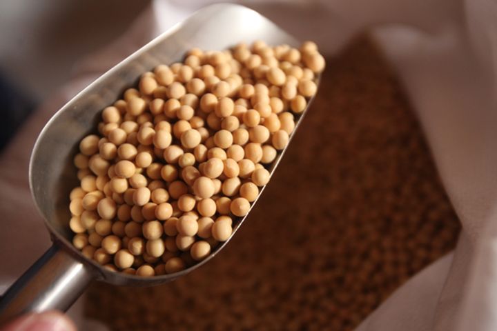 China-US Trade Friction May Reshape Global Soybean Market