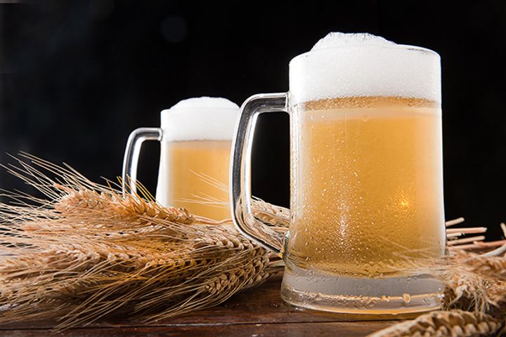 China's Craft Beer Sector Booms Despite Hidden Challenges
