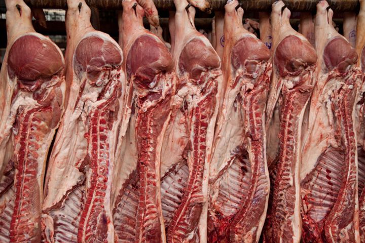 Portugal Ships Its First China-Bound Pork Exports