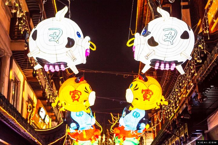 Yu Garden's Lantern Show Lights Up Shanghai for Spring Festival