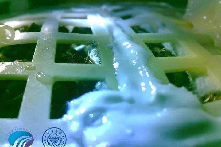 China Is Growing Potatoes on the Moon