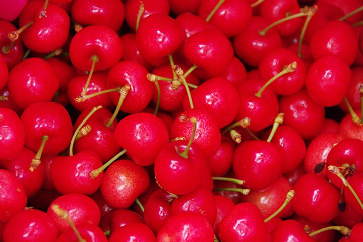 Chinese Consumers Splurge on Chilean Cherries Amid Spring Festival