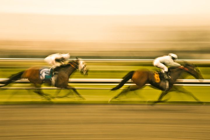 Shares in Hainan Building Firm Jump After Consultancy Deal for Horse Racing Project