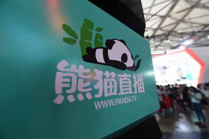 Funding Gap Is Too Large, Panda TV's COO Says Amid Billionaire Startup Layoffs