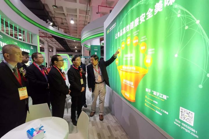 Yingzi Technology Unleashes Two New Smart Pig Farming Technologies 
