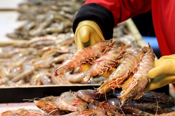 China's Guolian to Pay USD4 Million for Stake in India's Royale Marine to Secure Shrimp Supply