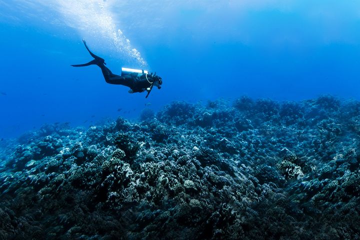 中国が国際水域の海底をスキャンするための5番目のライセンスを取得