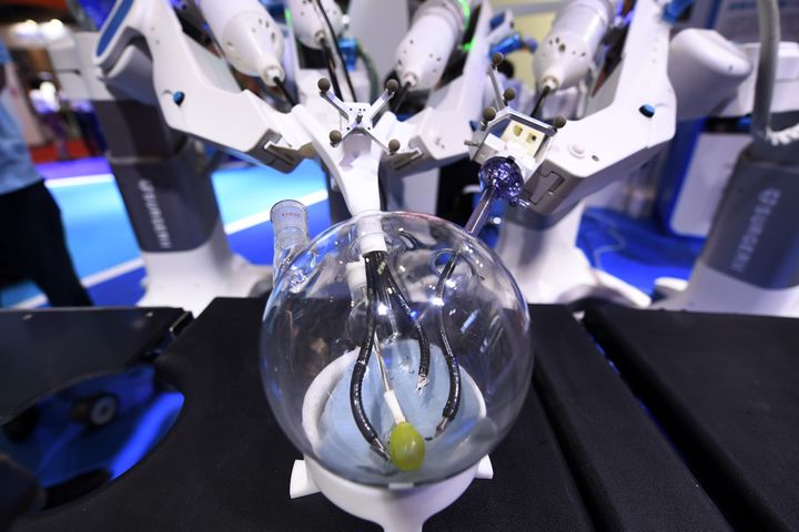Bot Surgeons, Dogs, Fish Mingle at World Robot Conference in Beijing
