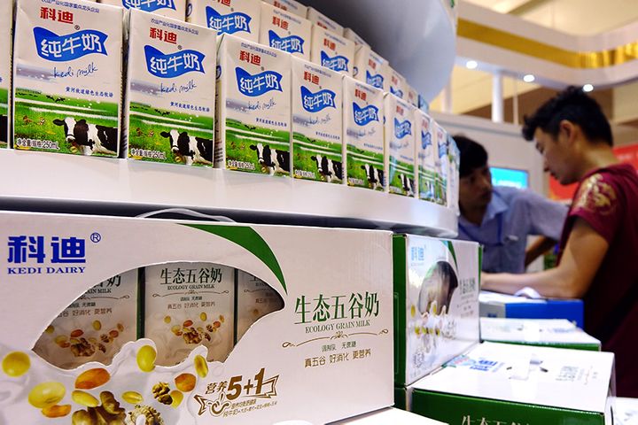 Kedi Dairy Stock Slumps Amid Securities Watchdog Probe