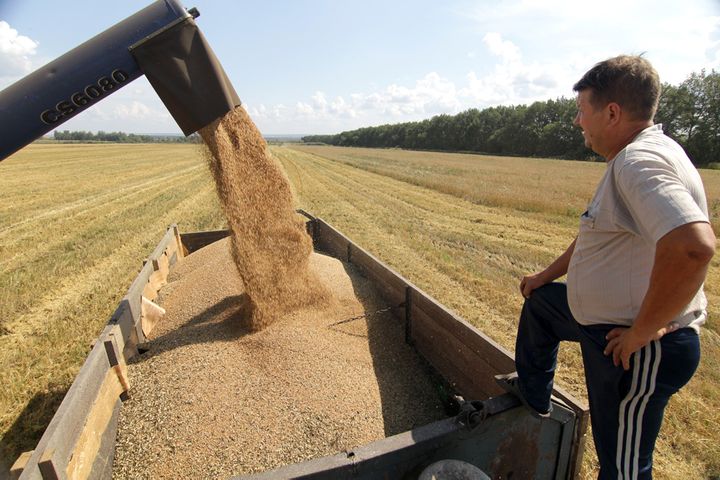 China Permits Russian Barley Imports