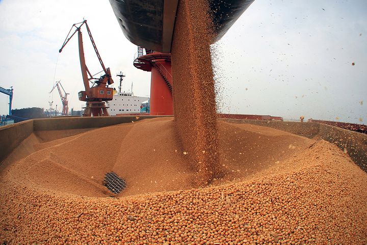 China Allows Soy Meal Imports From Argentina